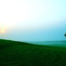 평남목장 이미지