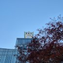 단국대 본태권도 | [공지] [중앙대 체교생 표 생기부 꿀팁 &amp; 컨설팅]
