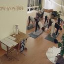 필라인 이미지