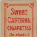 오분도둑 이미지