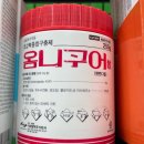 금릉곰돌이약국 이미지