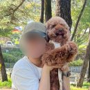 안녕달곰 이미지