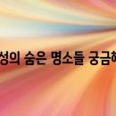 홍성고기마을 이미지