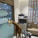 아름드리소아청소년과의원 이미지