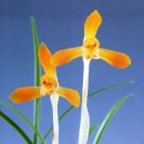 (주)금화 이미지