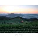 하늘언덕 이미지