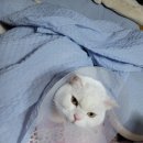 동물병원 누리에뜰 이미지