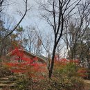 제3관문 옆 화장실 이미지