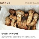 몽탄역 | 쇠심줄오뎅을 찾아서 외 읽을거리