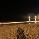 죽도항(양양죽도오토캠핑장) 이미지