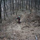 음지마을 농로 이미지