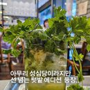 성심당에서 파는 고수 그린모히또.jpg 이미지