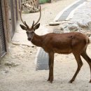 말코농장 이미지