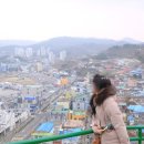 논골 소공원 | 동해 묵호 여행 논골담길 바람의언덕 묵호등대 한번에 가볼만한 묵호항 코스