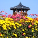 농악교실 | 서산 국화축제 나들이 (가을축제, 국화명소, 충남여행)