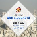 신성 공인중개사사무소 이미지