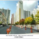 버드내네거리 이미지