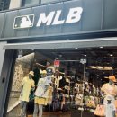 MLB동해