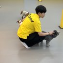 옐레드 애견유치원 & 애견호텔 진주초전점 이미지