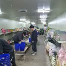 숲소리 유치원 | [고양 지축 숲소리유치원] 손끝에서 피어나는 "감사"