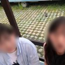 솔향민박 | [강릉/카라반] 솔향강릉오토캠핑장에서 5인 가족이 복작이는 일기
