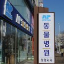 AP 동물병원 이미지