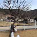 글램펜션(2) | 경남 애견동반 숙소 글램독 애견펜션 통영 후기