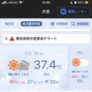 지꼬 이미지