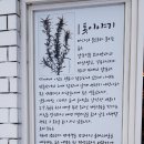 바당길 이미지