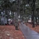 영덕 블루로드 트레킹 게스트하우스 이미지