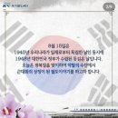 "일제시대 추억하나"…광화문 광장 속 '조선총독부' 그림 논란 이미지