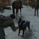 어스독 | PS5 ‘라스트 오브 어스 파트 2 리마스터드’ , 드라마 입문자부터 게이머까지 즐기는 완벽한 선택