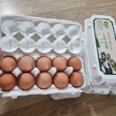 심다누팜 이미지