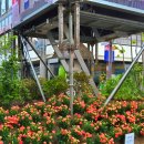 별빛약업사 이미지