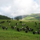 행은목장 이미지