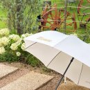 아틀리에젠즈 이미지