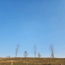 이포보 오토 캠핑장 이미지