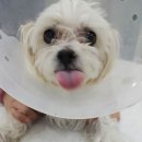 프라임동물병원 이미지