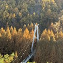 코바그릴 | [슈하스코][내돈내산]대전 중앙로 슈하스코 전문점 코바그릴