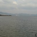 백조도래지 네이버블로그