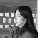 승환신문 이미지