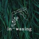 in_waxing 이미지
