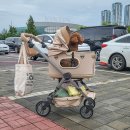 펫부띠끄 | 2025 펫쇼코리아 서울펫쇼 일산 첫날 관람후기