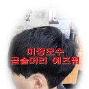 미장모수