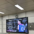 흥국생명 배구 예매 삼산월드체육관 1층 VIP석 직관 후기