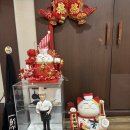 차이나 정향 이미지