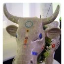 행복한우리소 이미지