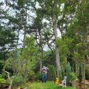 도산면사무소 이미지