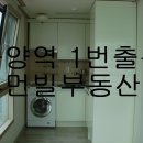 미씨엘로 이미지