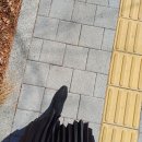 가정중학교 | 중학교 총회 꼭 가야 할까? 직접 다녀온 후기